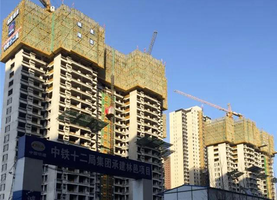 林邑國(guó)際配電工程